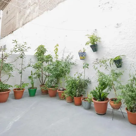 Apartamento Albaycin Granada Esterno foto
