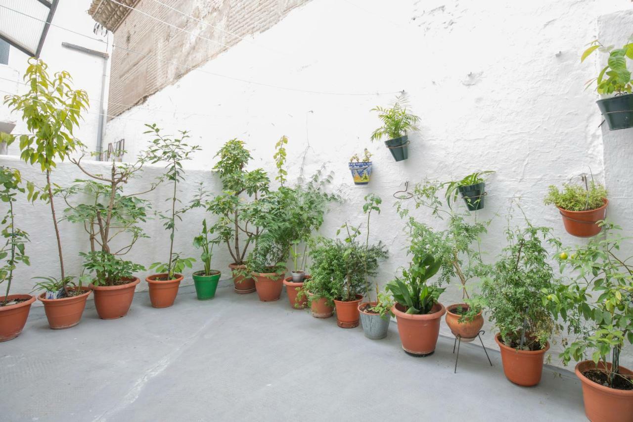 Apartment Albaycin Granada